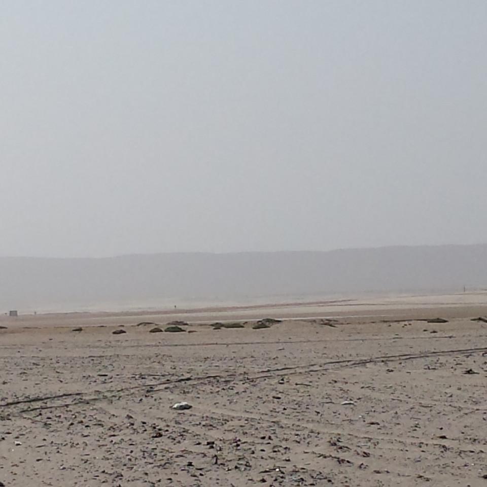 139.jpg