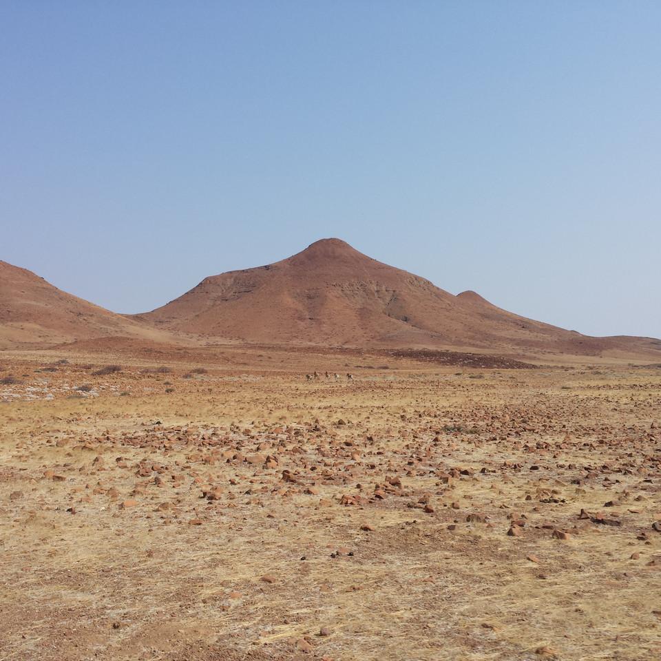 153.jpg