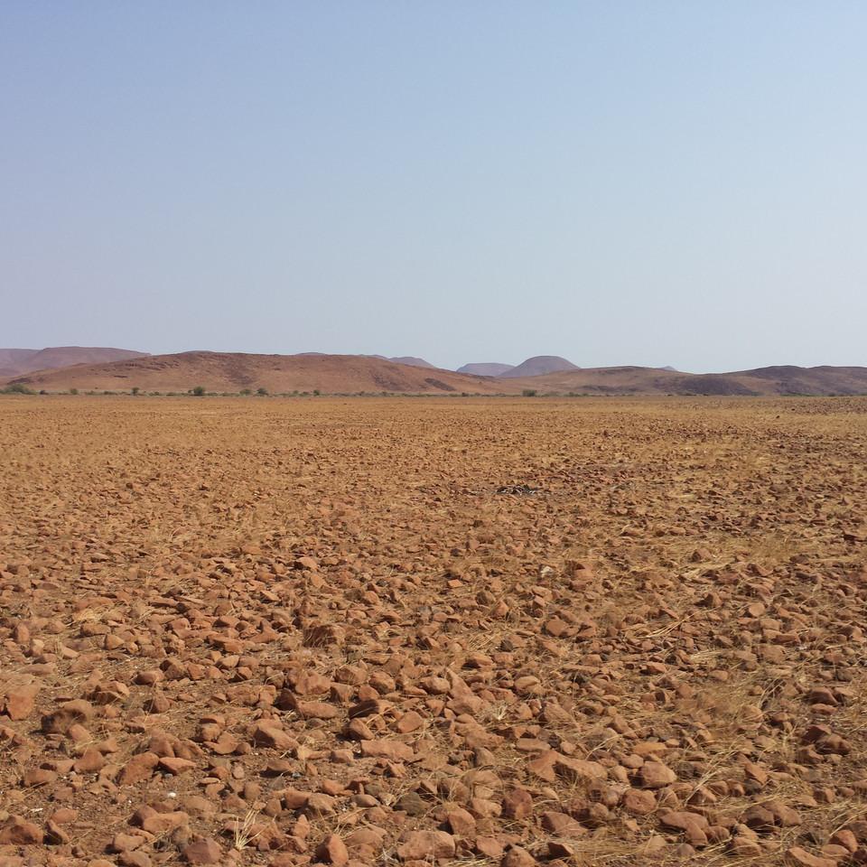 159.jpg