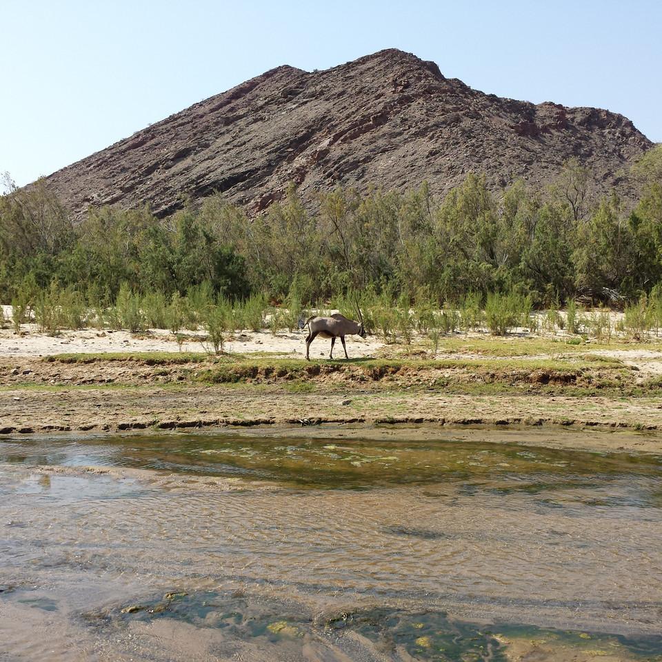 170.jpg