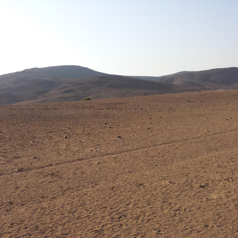 193.jpg