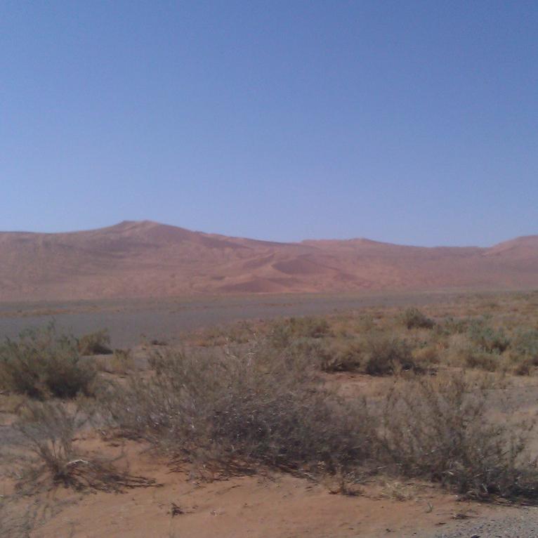 IMAG0401.jpg