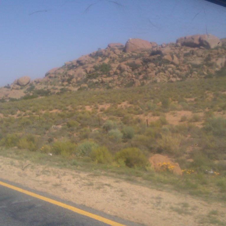 IMAG0441.jpg