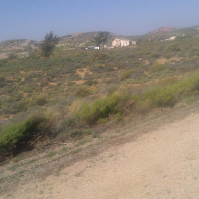 IMAG0443.jpg