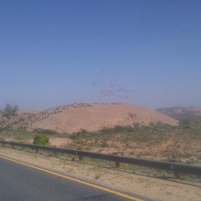 IMAG0444.jpg