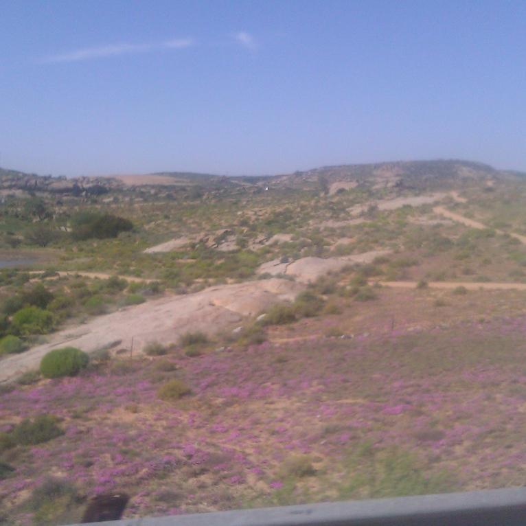 IMAG0445.jpg