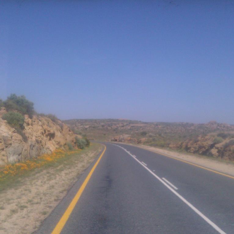IMAG0446.jpg