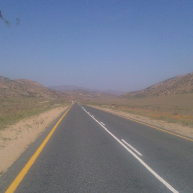 IMAG0447.jpg