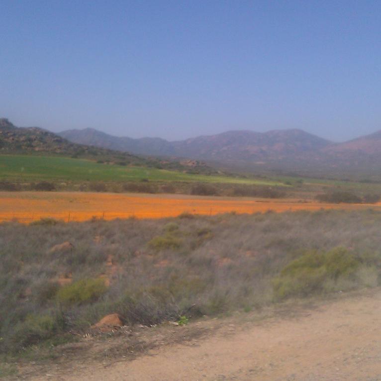 IMAG0449.jpg