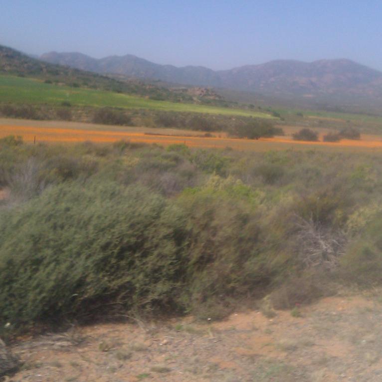 IMAG0450.jpg