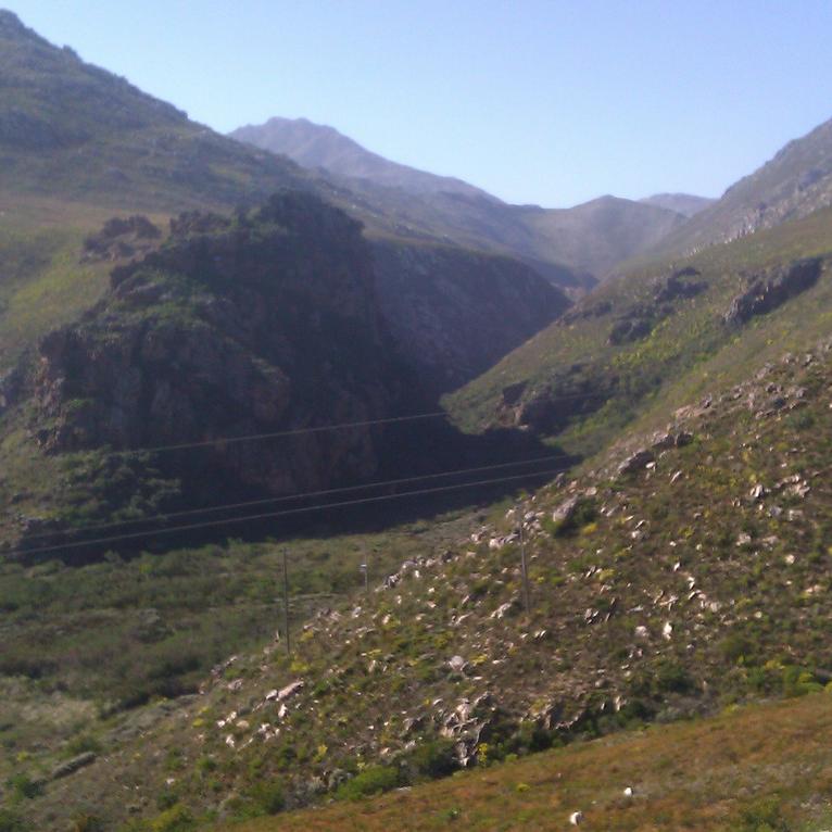 IMAG0459.jpg