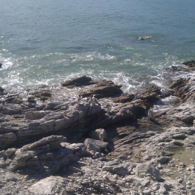 IMAG0462.jpg