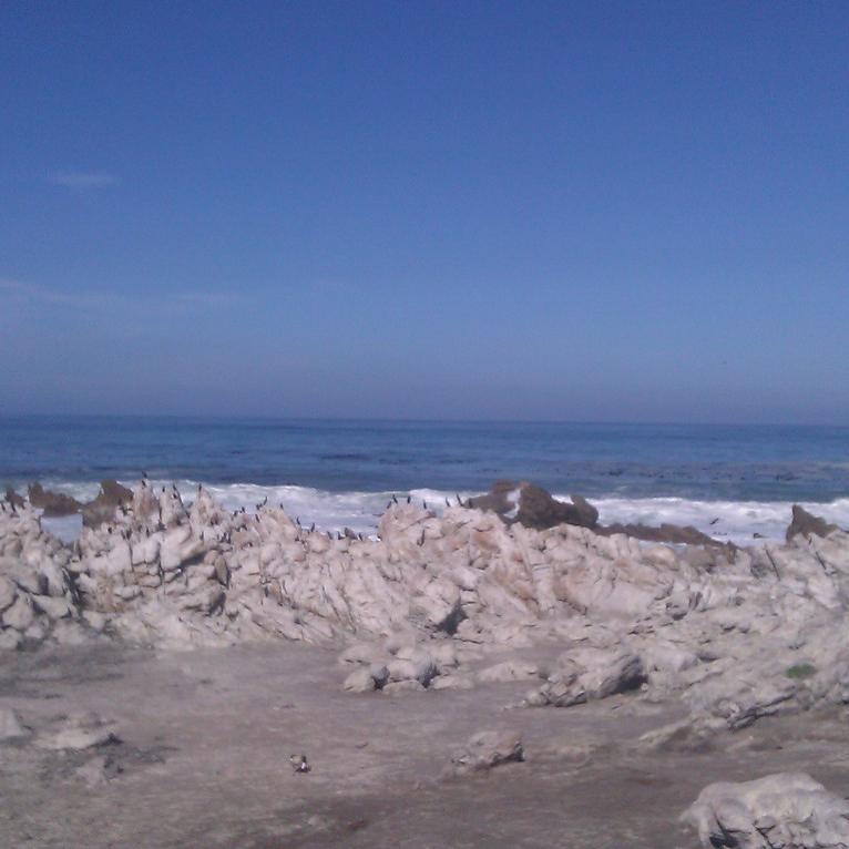 IMAG0474.jpg