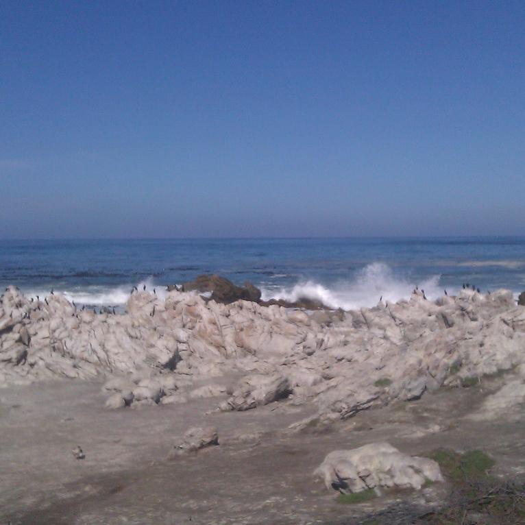 IMAG0475.jpg