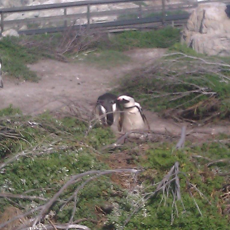 IMAG0477.jpg
