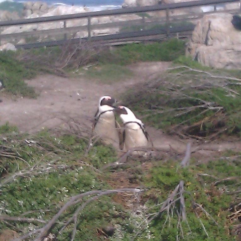IMAG0478.jpg