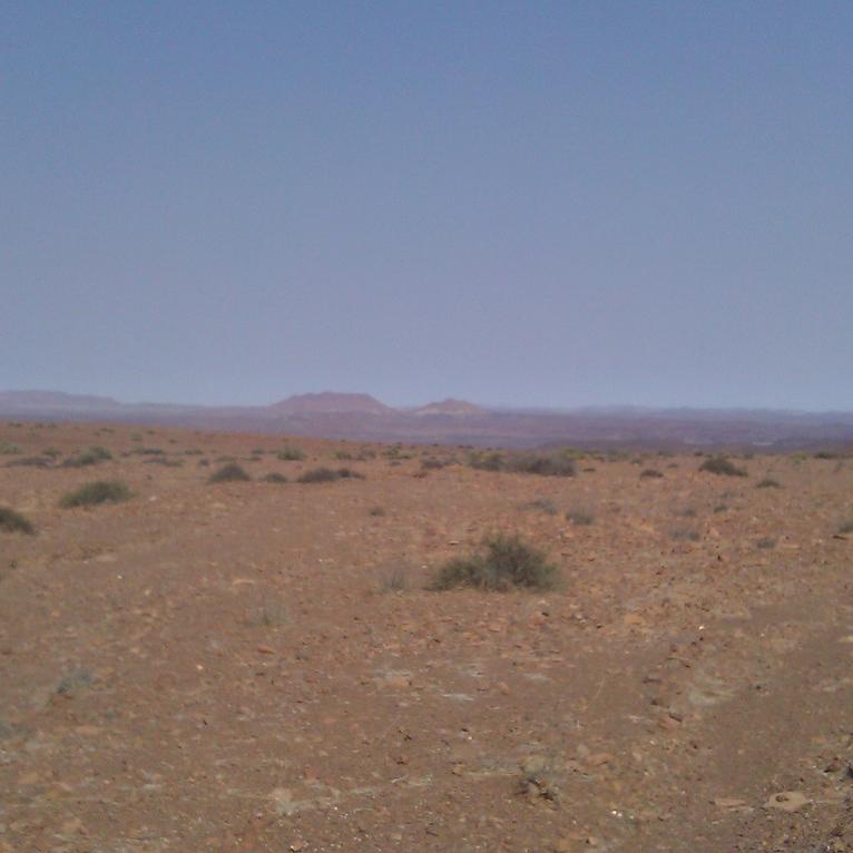 IMAG0359.jpg