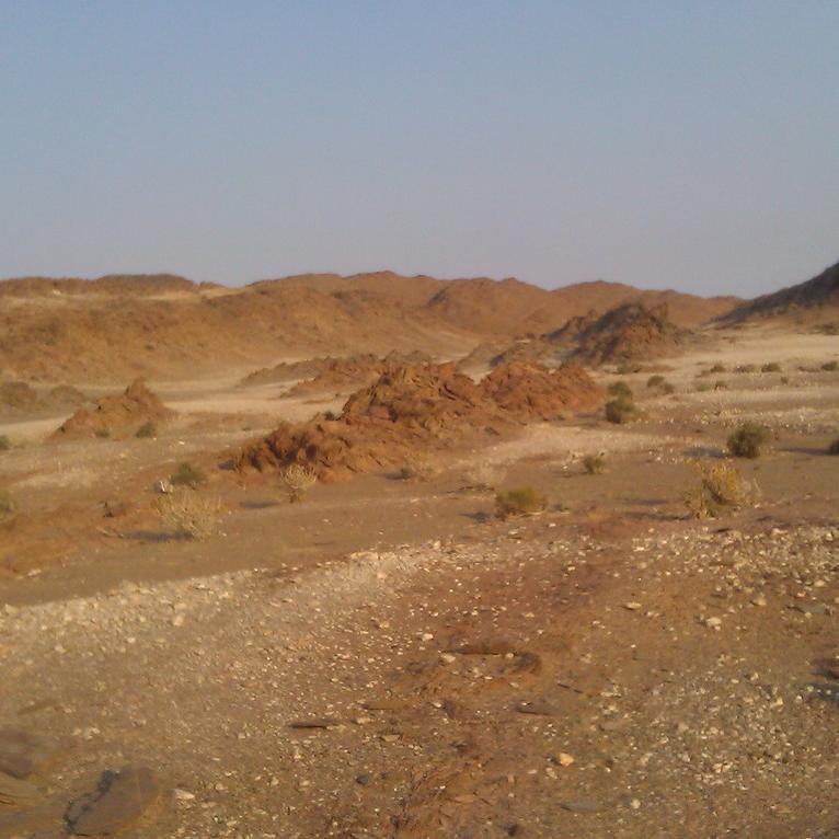 IMAG0365.jpg