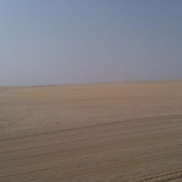 IMAG0372.jpg