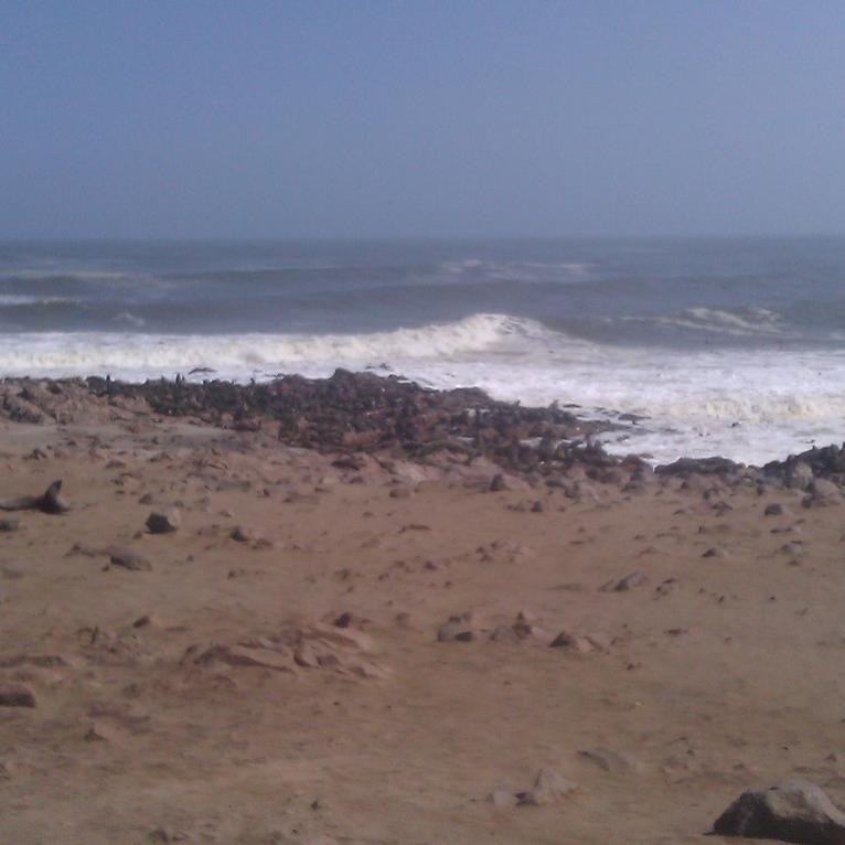 IMAG0374.jpg