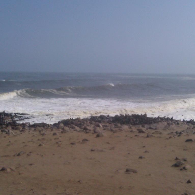 IMAG0375.jpg