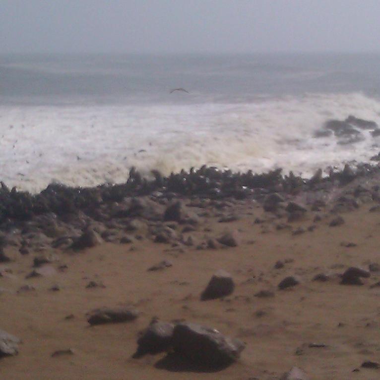 IMAG0377.jpg