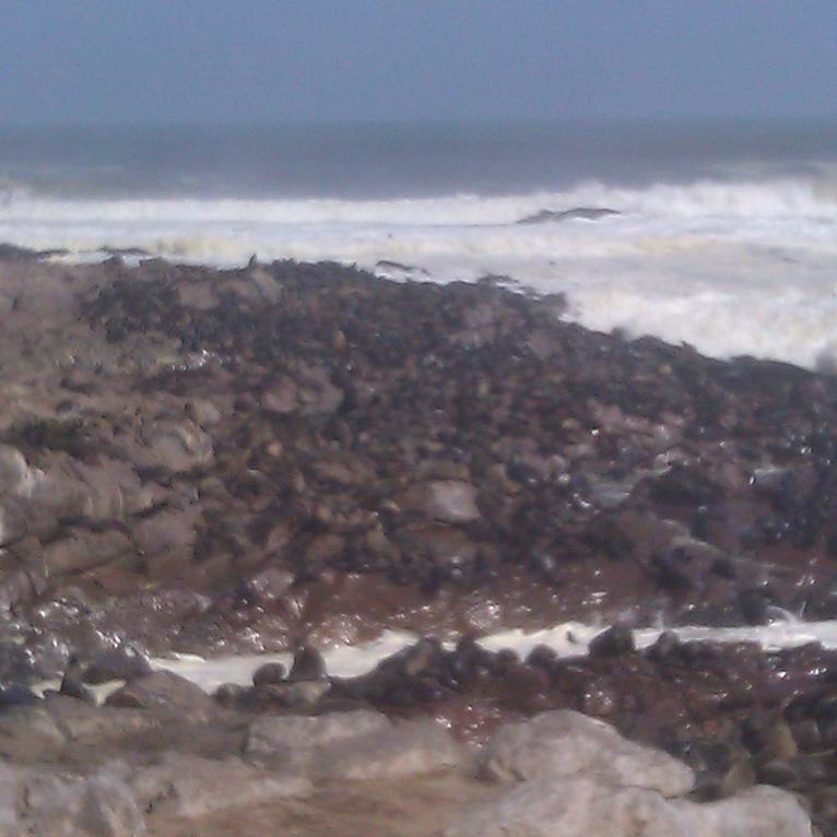 IMAG0380.jpg