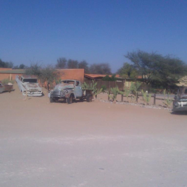 IMAG0394.jpg