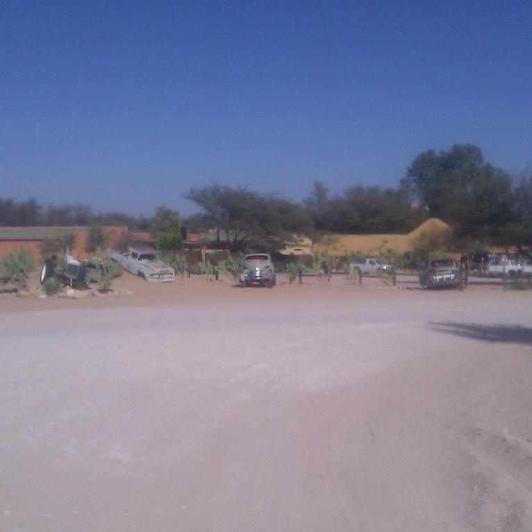 IMAG0395.jpg