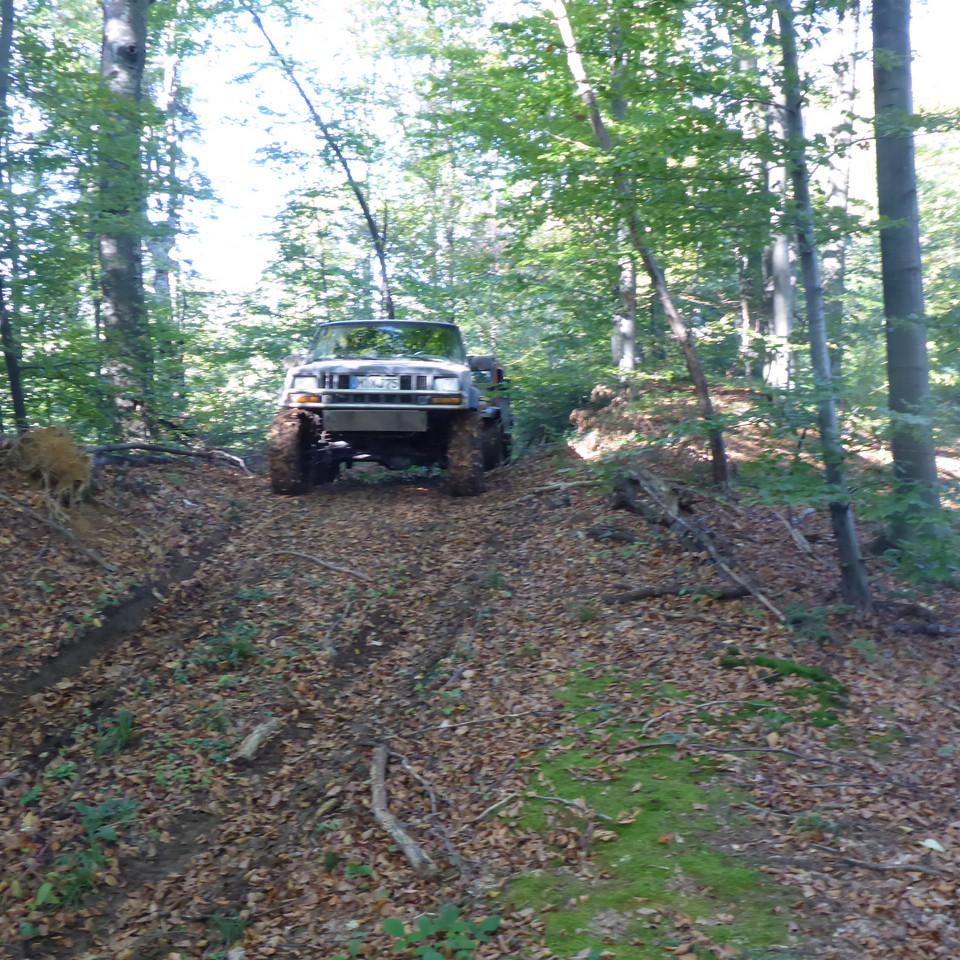 410.JPG
