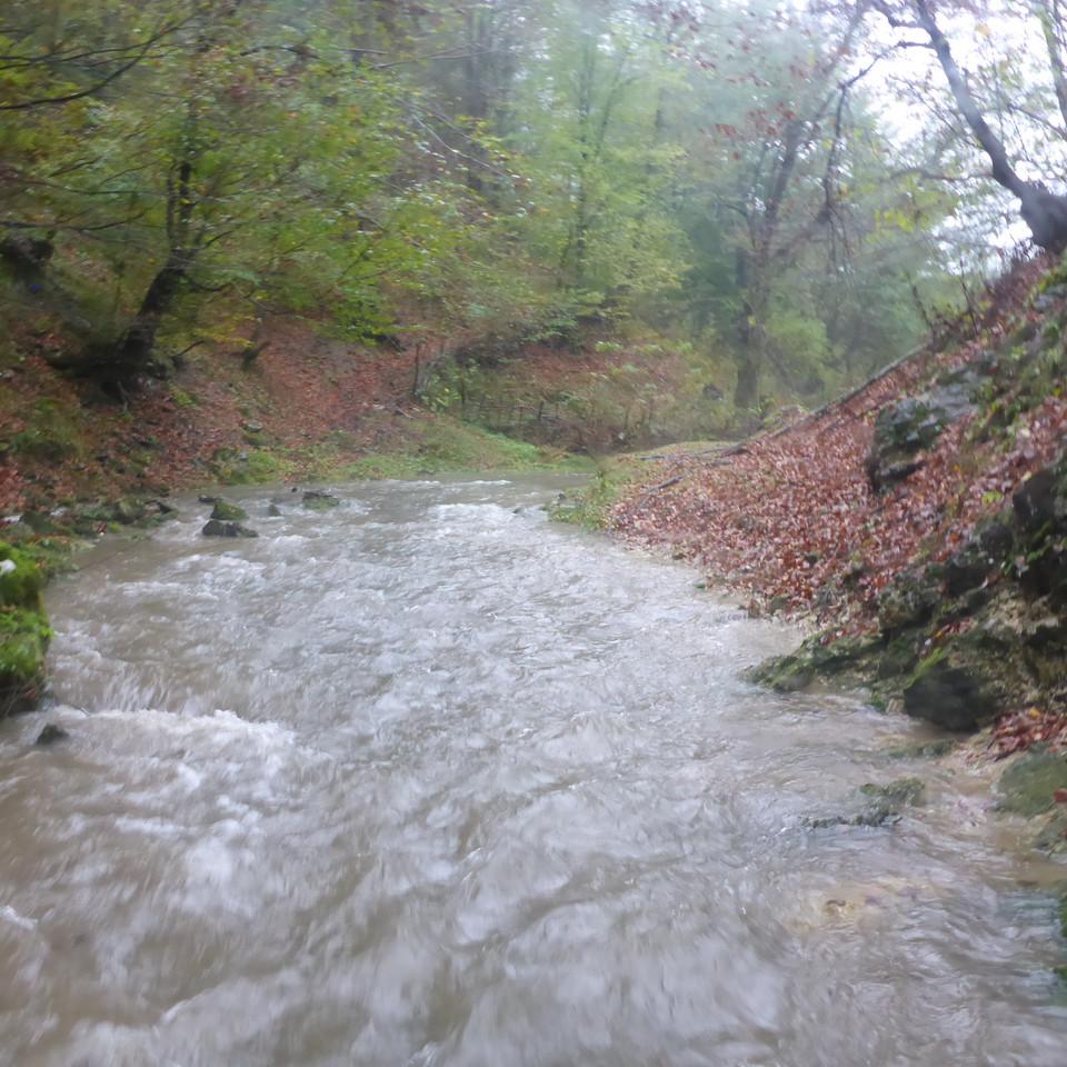 132.JPG
