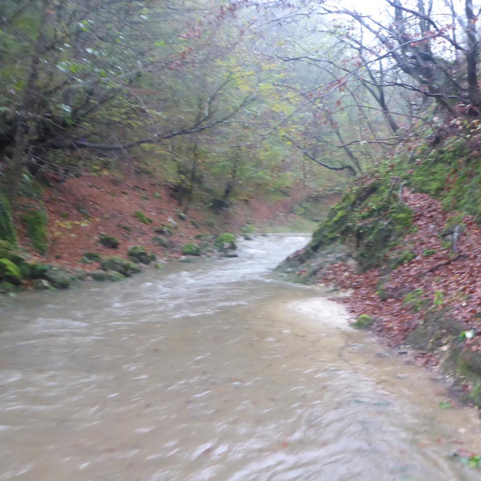 134.JPG