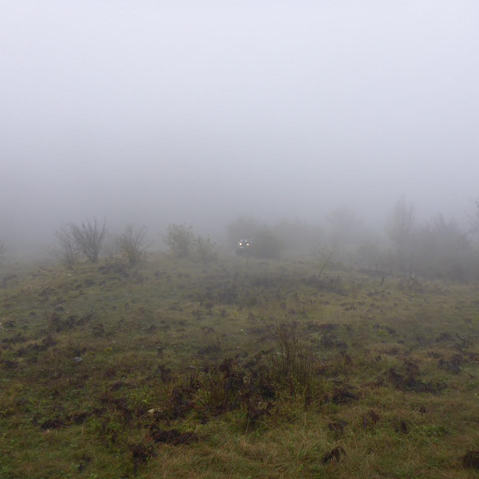 155.JPG