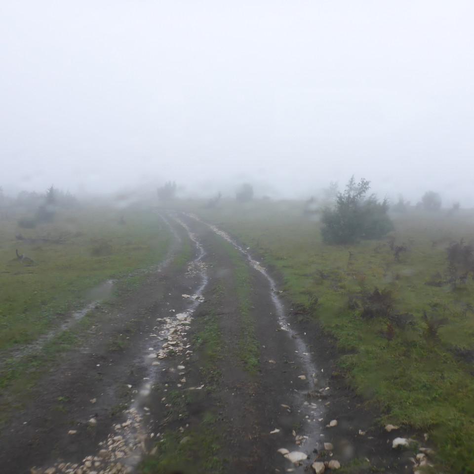 163.JPG