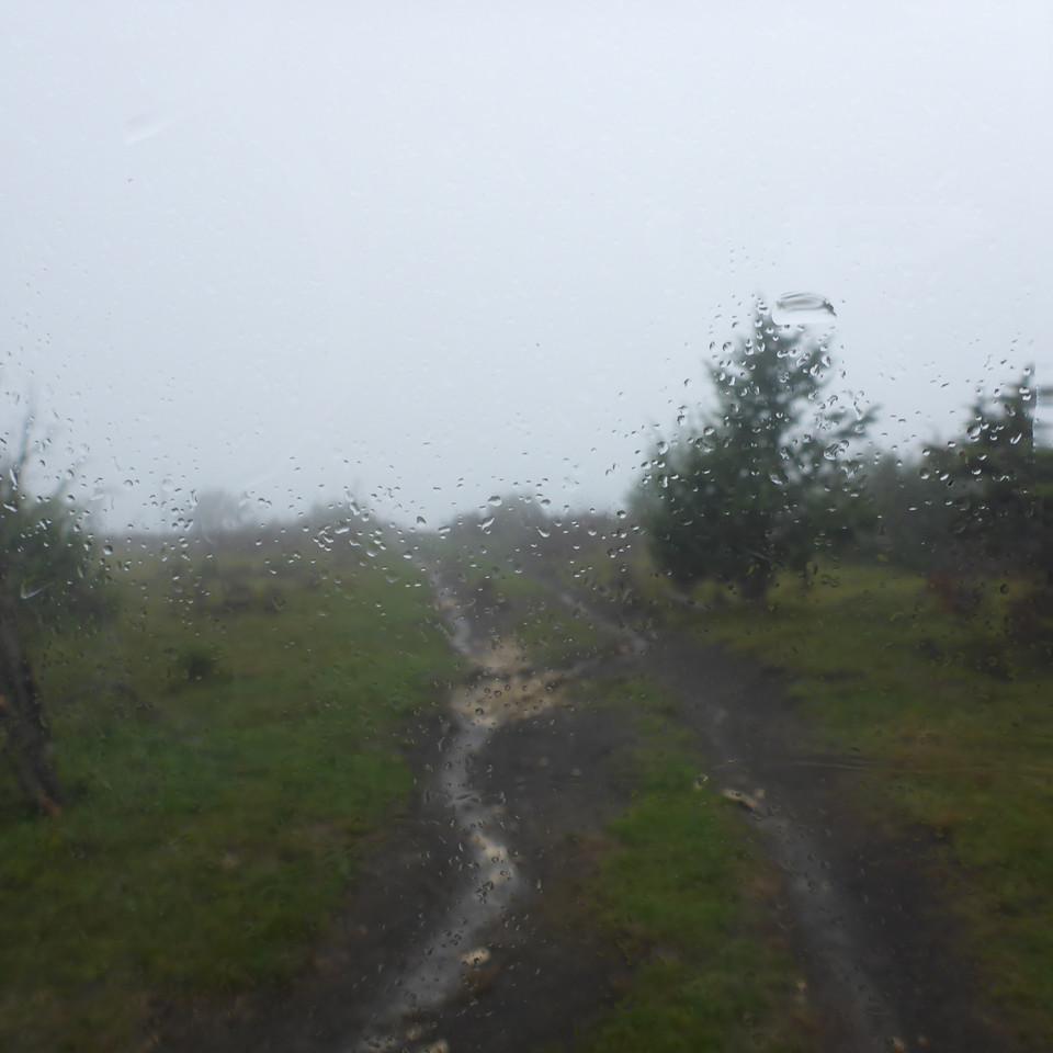 165.JPG