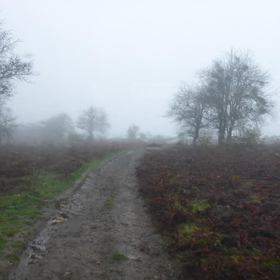 169.JPG