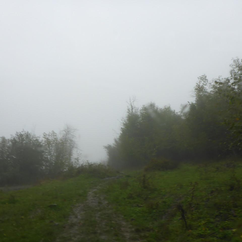 173.JPG