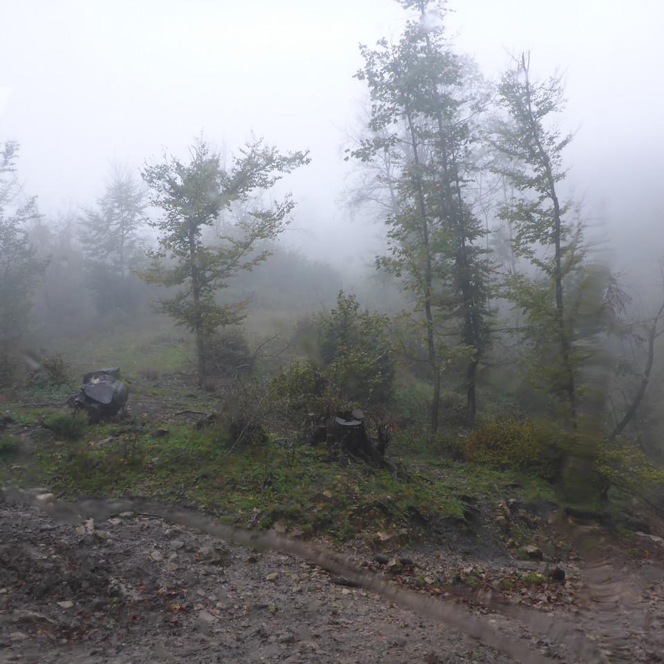 174.JPG