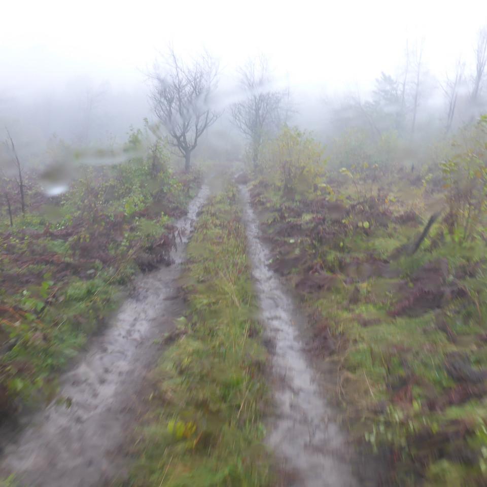 183.JPG