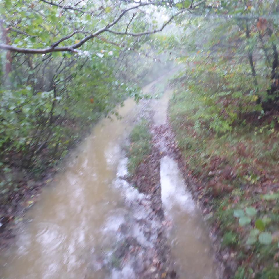 191.JPG