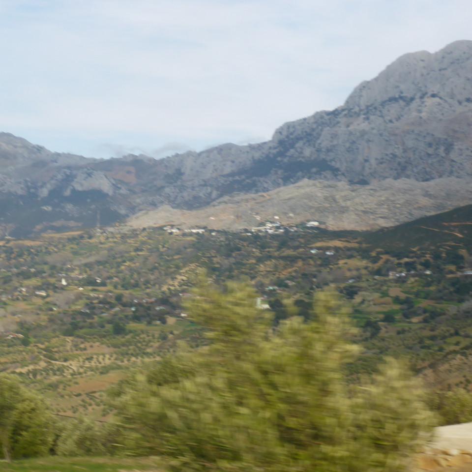 104.JPG