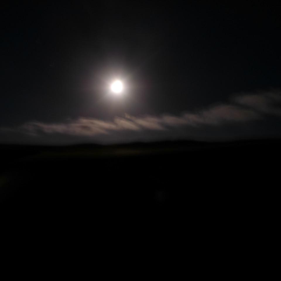 1042.JPG