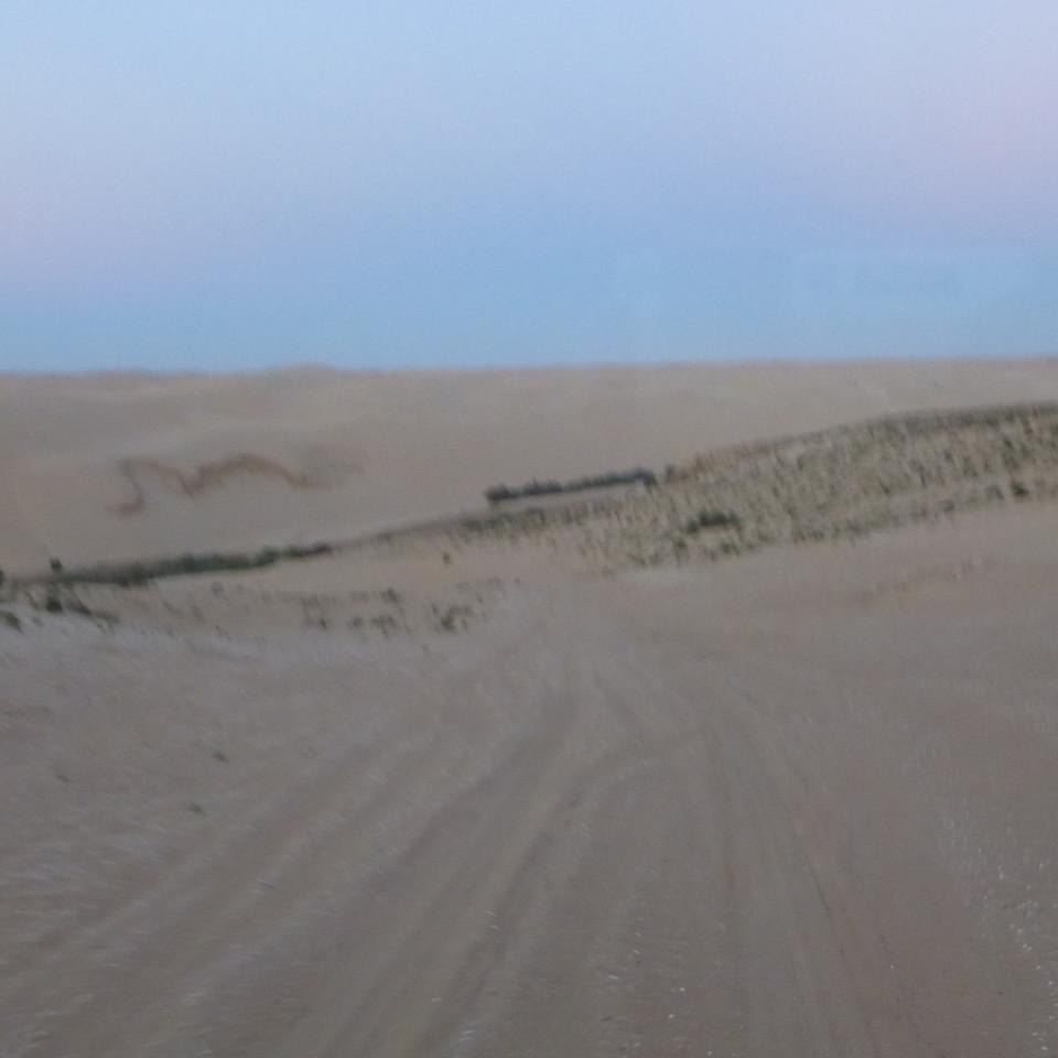 1069.JPG