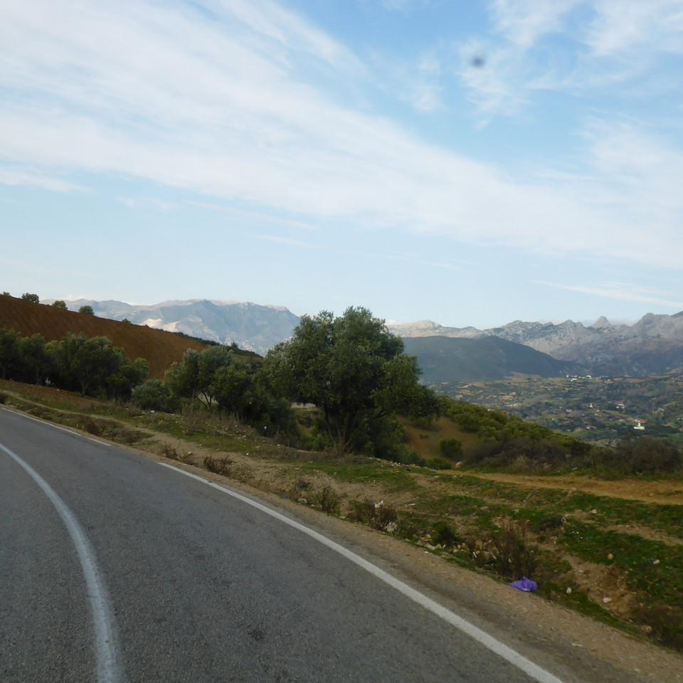 107.JPG