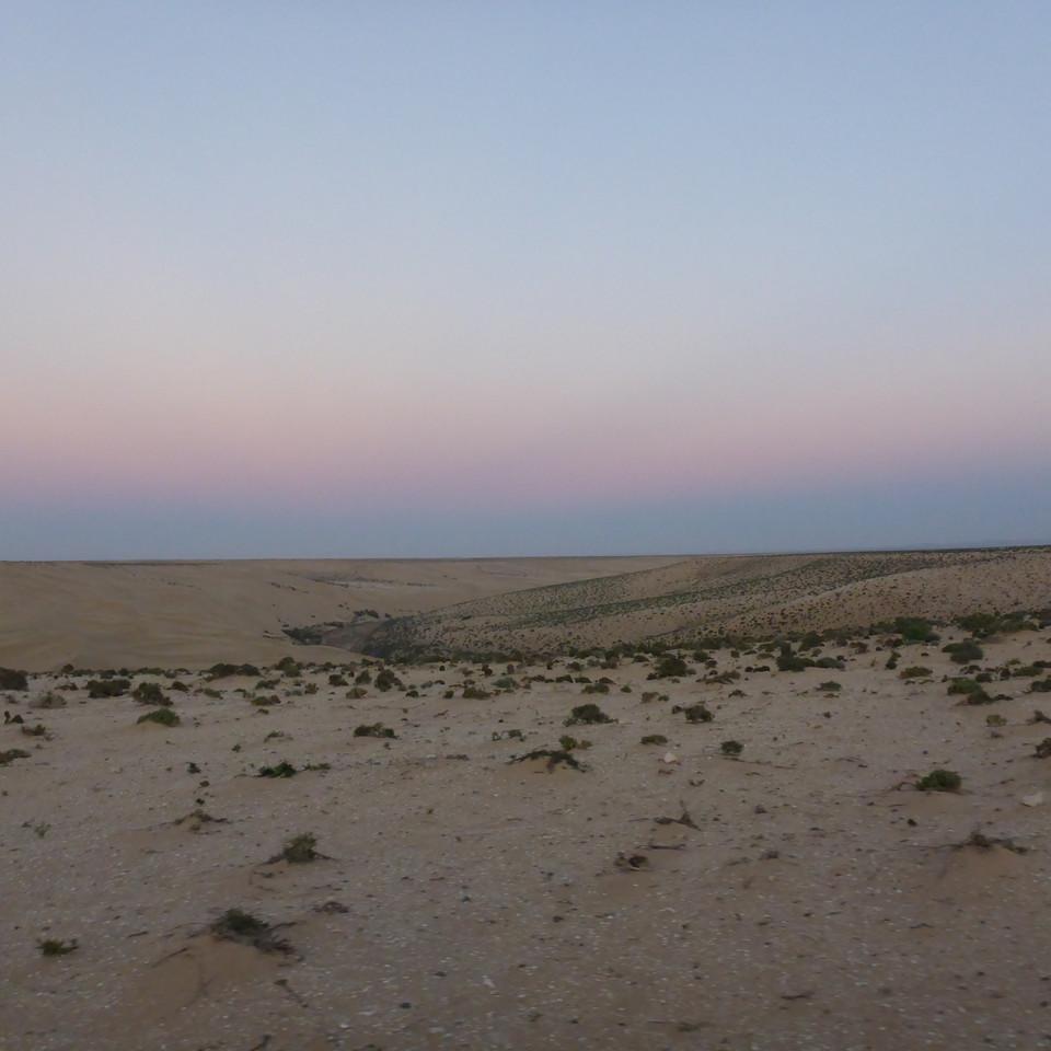 1074.JPG