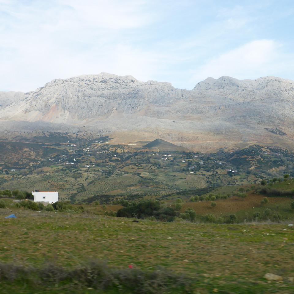109.JPG