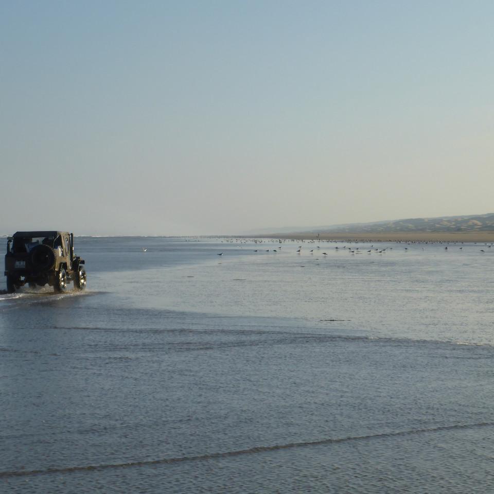1007.JPG