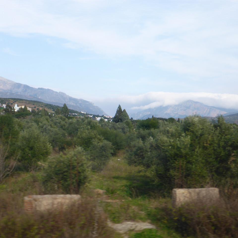 114.JPG