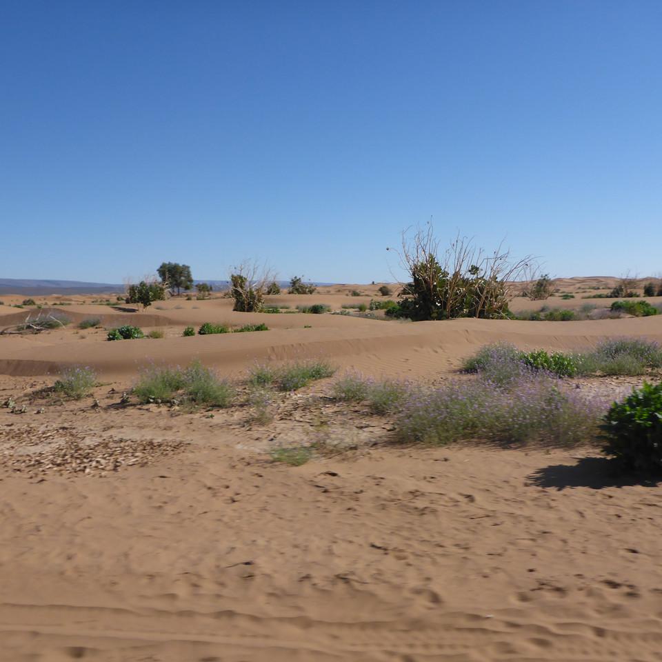 1146.JPG