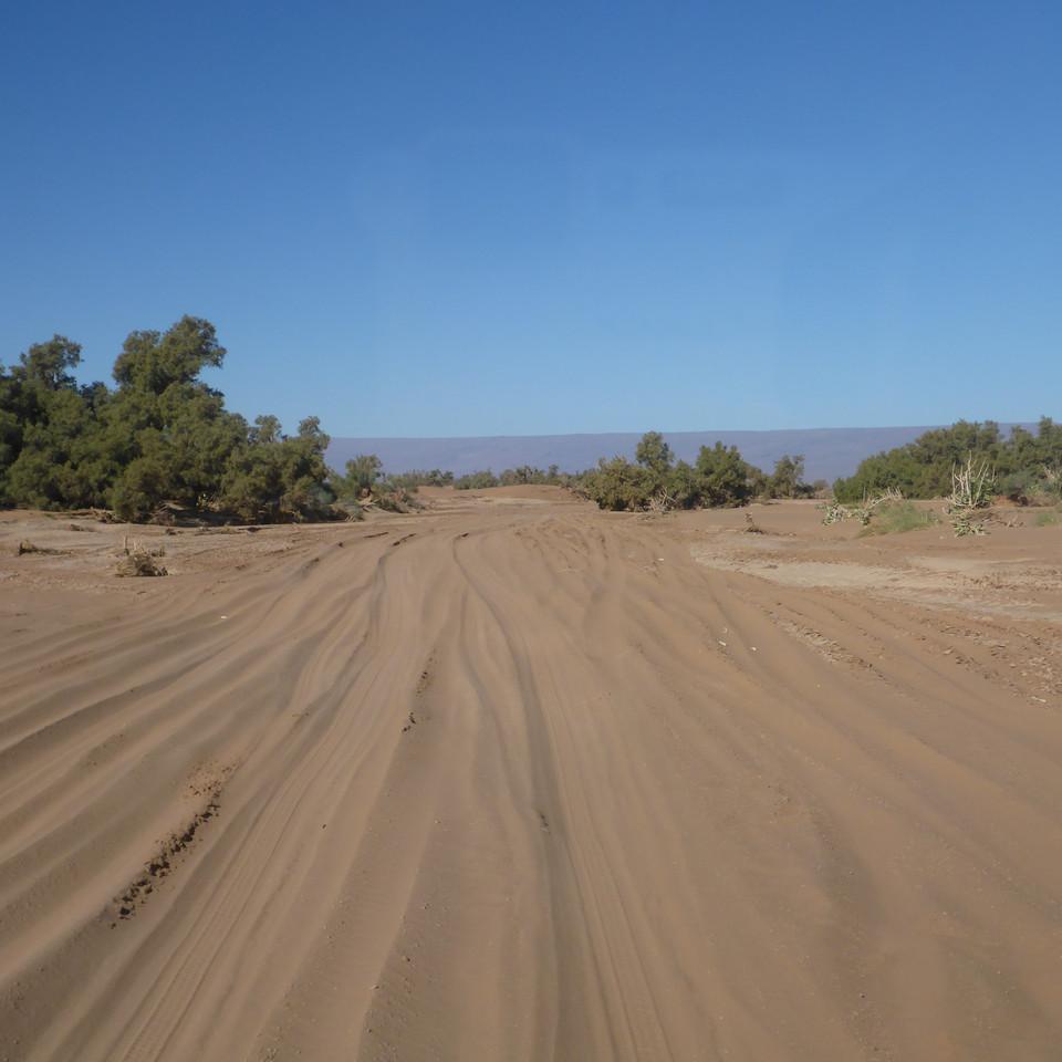 1148.JPG